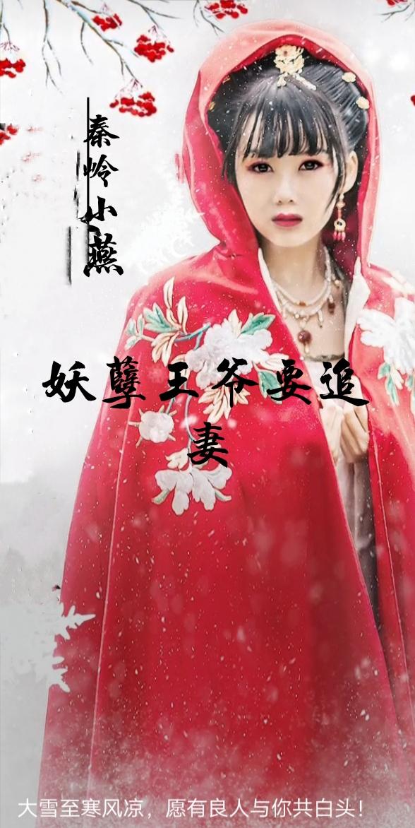 妖孽王爷来入赘完结全文免费阅读